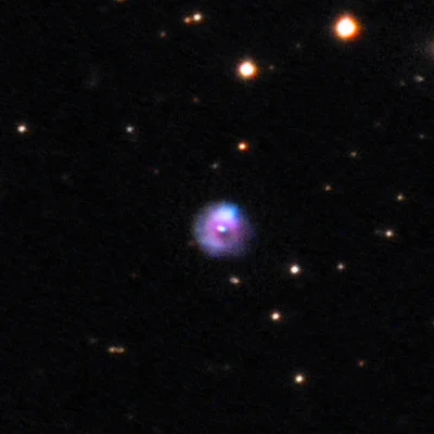 Haro 3-29