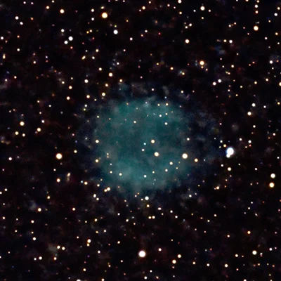 IC 1295