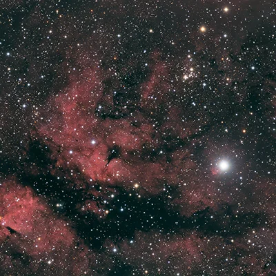 Gamma Cygni Nebula, IC 1318