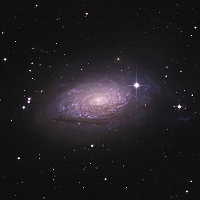 Sunflower Galaxy, NGC 5055