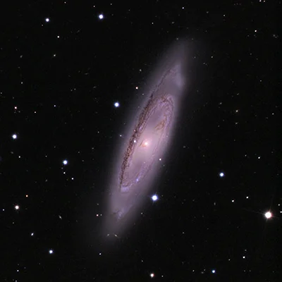 Leo Triplet, NGC 3623