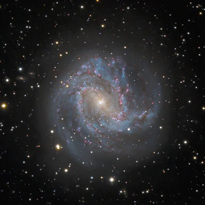 NGC 5236