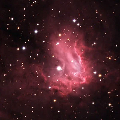 Little Pacman, NGC 1491