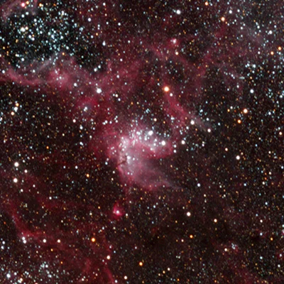 NGC 2081