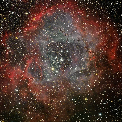 Rosette Nebula, NGC 2237+, C 49
