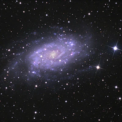 NGC 2403, C 7