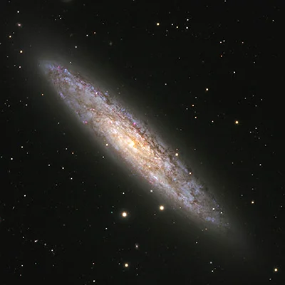 Silver Dollar, NGC 253, C 65