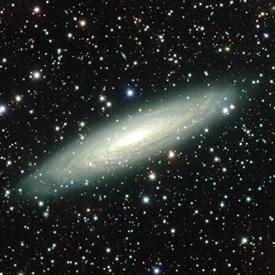 NGC 2613