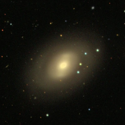 NGC 2950
