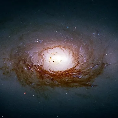 NGC 3626, C 40