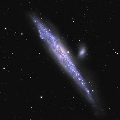 Whale Galaxy, NGC 4631, C 32