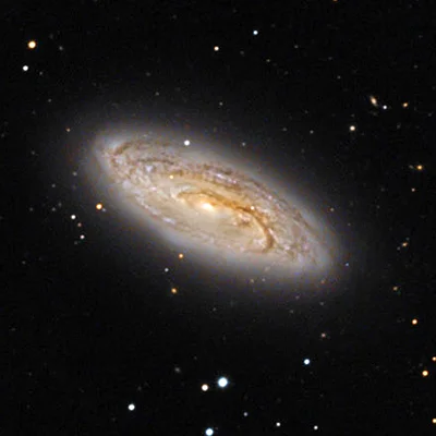 NGC 5005, C 29