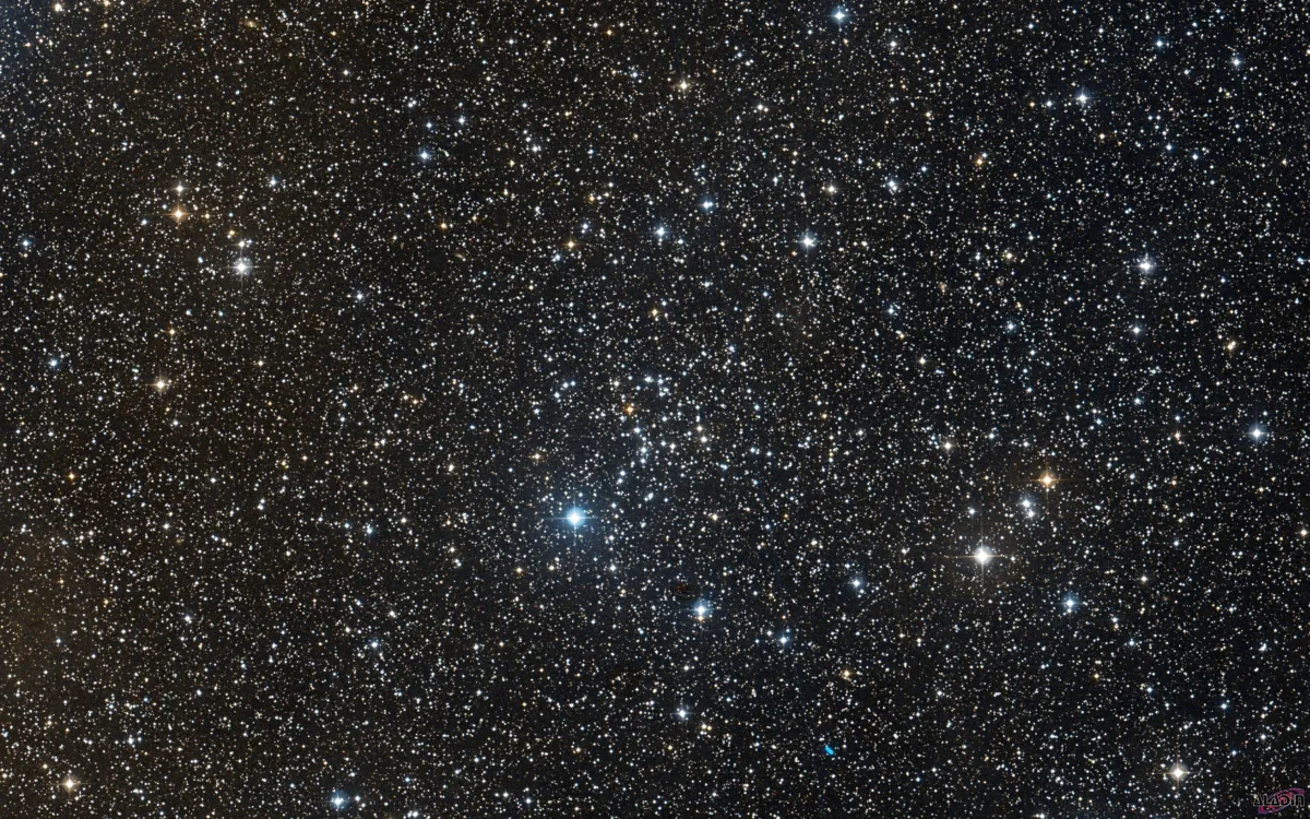 NGC 1664