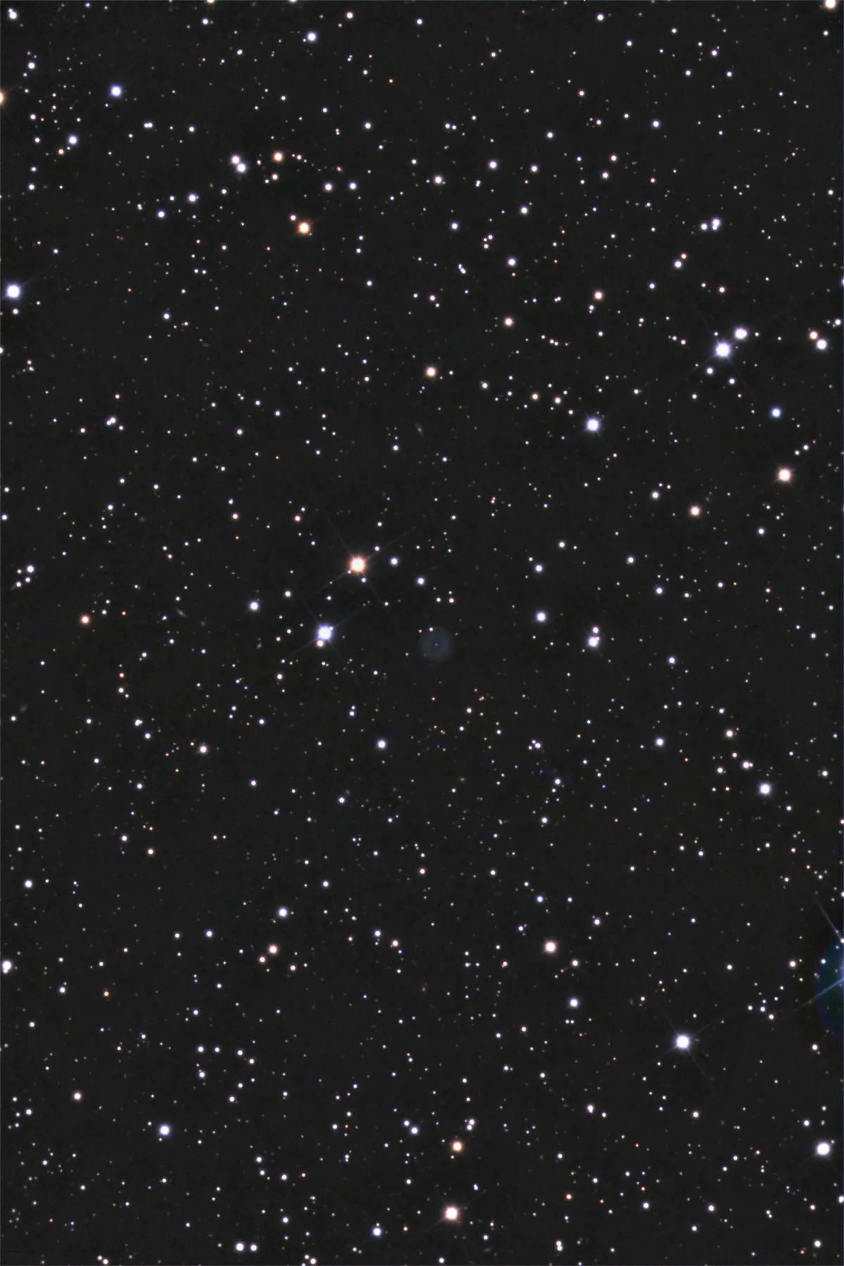 Kohoutek 1-20
