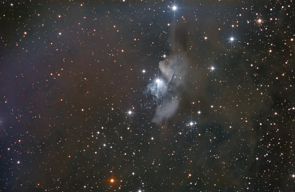 vdB 24