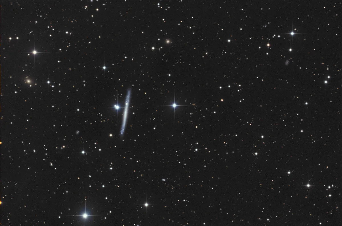 IC 2233
